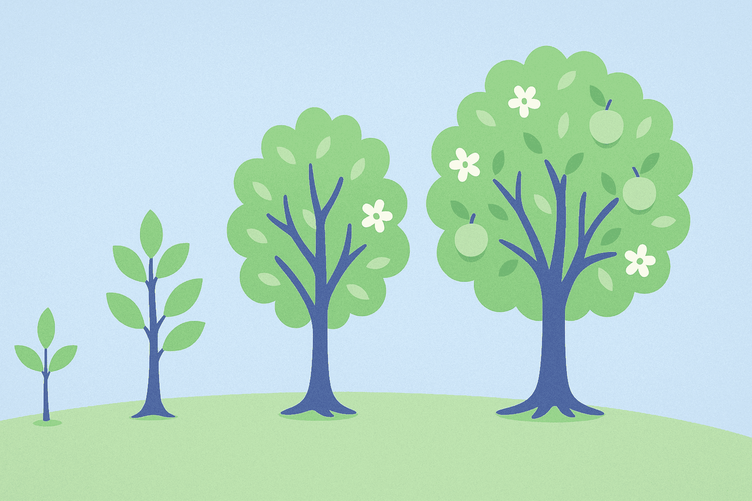 Multiple phases of a trees growth showing the virtue of patience